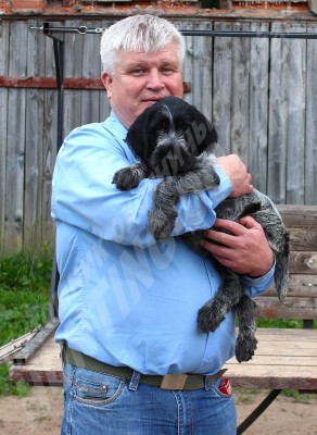 Новые владельцы